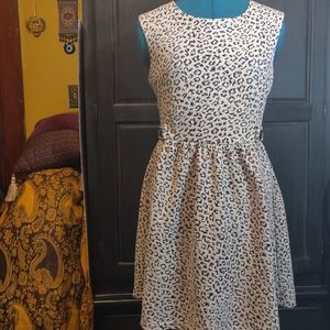 LAST CHANCE Aniina Leopard Print Midi Dress